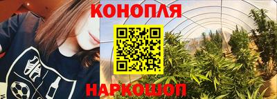 эйфоретик Краснодар