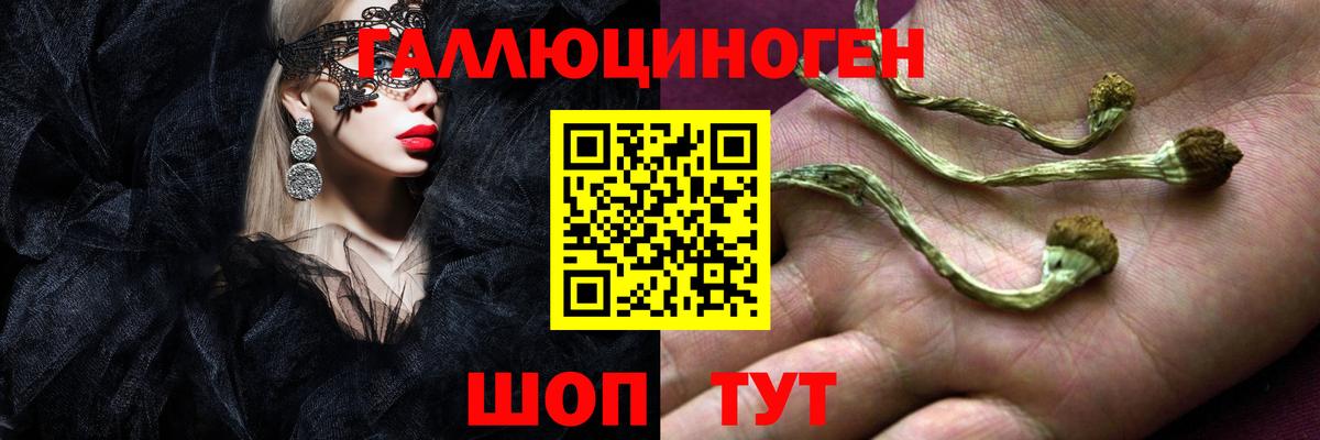 Псилоцибиновые грибы Psilocybine cubensis  Вход с VPN  Северобайкальск 