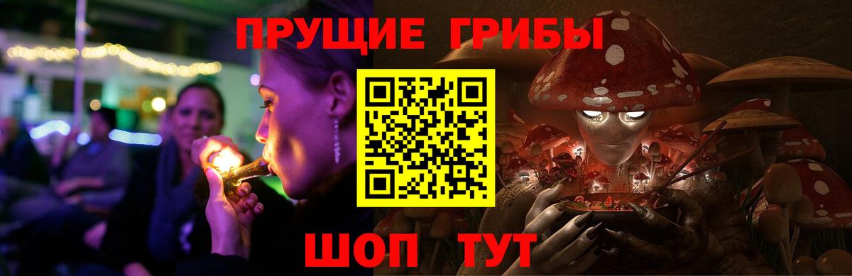 Псилоцибиновые грибы Psilocybe Северобайкальск