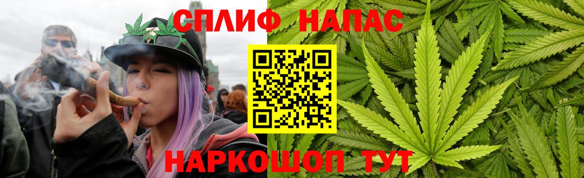 Канабис планчик Северобайкальск